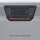 Briggs & Riley Torq Medium Trunk Spinner